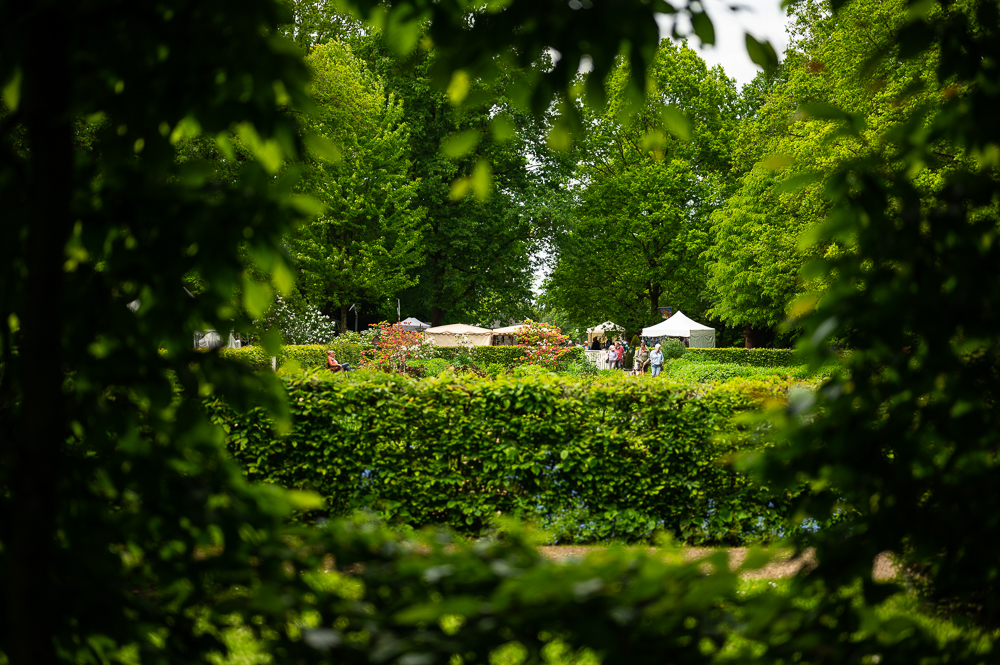 Das Bild zeigt Markstände, die durch eine Öffnung in einer Hecke zu sehen sind.